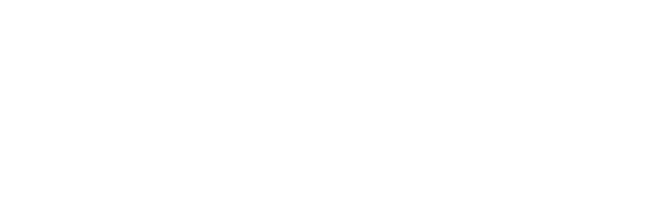DyDLogistics Logo